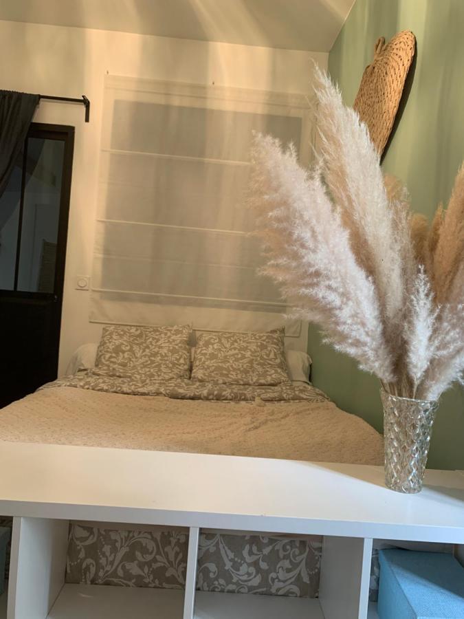 Atypique Appartement Muret